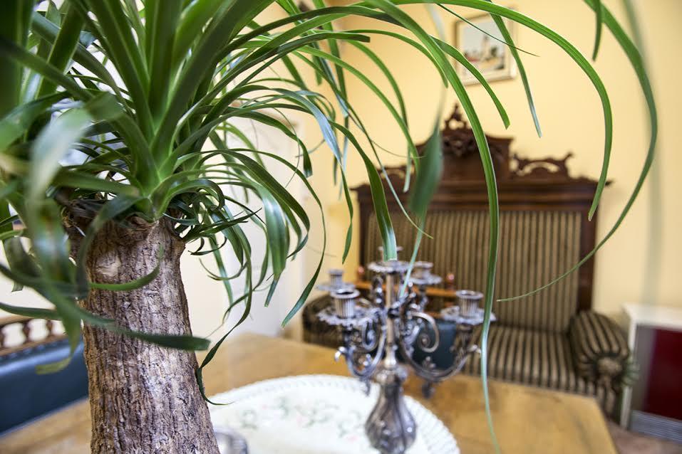 Luna Apartment Novi Sad Extérieur photo